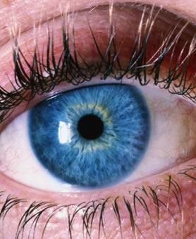Eye Types